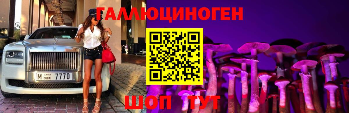 Алейск  Псилоцибиновые грибы MAGIC MUSHROOMS  Псилоцибиновые грибы GOLDEN TEACHER  где купить наркоту  Вход с VPN 